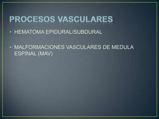 PROCESOS VASCULARESHEMATOMA EPIDURAL/SUBDURALMALFORMACIONES VASCULARES DE MEDULA ESPINAL (MAV)