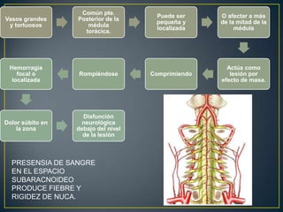 PRESENSIA DE SANGRE EN EL ESPACIO SUBARACNOIDEO PRODUCE FIEBRE Y RIGIDEZ DE NUCA.