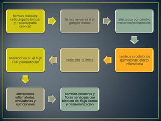  C. Torácica: 70% > lumbosacra> cervical
