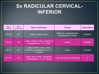 El proceso degenerativo ha sido dividido en tres etapas:1. Disfunción.15 a 45 años. Se caracteriza por la presencia de laceraciones circunferenciales y radiales en el anillo discal, sinovitis localizada de las articulaciones intervertebrales apofisiarias. 2. Inestabilidad.35 a 70 años se caracteriza por ruptura interna del disco, resorción discal progresiva, degeneración de las articulares apofisiarias con laxitud capsular, subluxación y erosión articular. 3. Estabilización.Pacientes mayores de 60 años. Desarrollo progresivo de hueso hipertrófico en torno al disco y articulaciones apofisiarias conduce a la rigidez segmentaria o a una franca anquilosis. Cada segmento espinal sufre degeneración a un ritmo diferente. 
