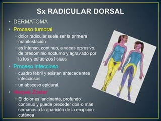 La hernia del núcleo pulposo se considera una complicación del proceso de degeneración en las etapas de disfunción o de inestabilidad. 