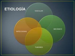 ETIOLOGÍA