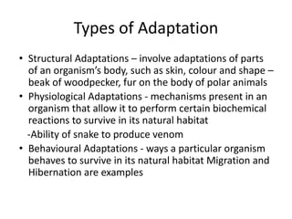 Concept of Ecology , ecosystem and enviroment management | PDF