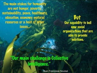 The main stakes for humanity are not hunger, poverty, sustainability, peace, healthcare, education, economy, natural resources or a host of other issues... But  Our capability to buil new social organizations that are able to provide solutions. “ Our main challenge is Collective Intelligence.” Jean Francoise Noubel 