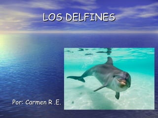 LOS DELFINES




Por: Carmen R .E.
 