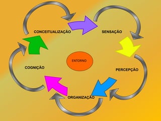 SENSAÇÃO
PERCEPÇÃO
COGNIÇÃO
CONCEITUALIZAÇÃO
ORGANIZAÇÃO
ENTORNO
 