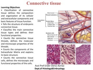 Connective tissue
Asst Prof Ender Deniz Asmaz
Dept.of Histology&Embryology
Learning Objectives
• Classification of connective
tissue defines the composition
and organization of its cellular
and extracellular components and
basic features of tissue function.
• Tells the structure of embryonic
connective tissue.
• Classifies the main connective
tissue types and defines their
functional properties.
• Counts the connective tissue
threads, defines the molecular
and microscopic properties of the
threads.
• Counts the components of the
Extracellular Matrix and explains
its basic structure.
• Counts the connective tissue
cells, defines the microscopic and
functional properties of the cells.
 