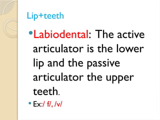 3 Consonants (places of articulation).pptx