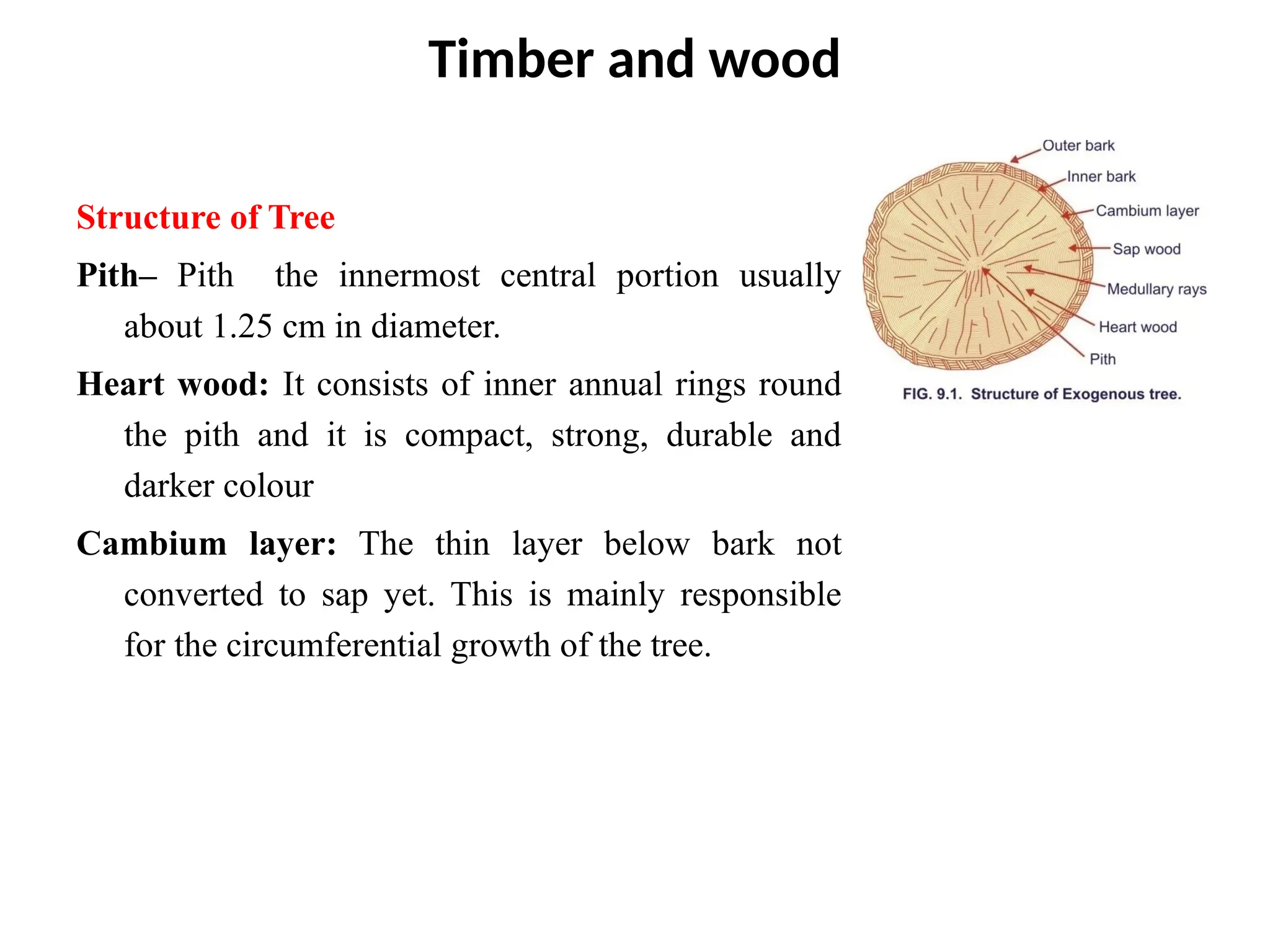 Timber and wood
Structure of Tree
Pith– Pith the innermost central portion usually
about 1.25 cm in diameter.
Heart wood: It consists of inner annual rings round
the pith and it is compact, strong, durable and
darker colour
Cambium layer: The thin layer below bark not
converted to sap yet. This is mainly responsible
for the circumferential growth of the tree.
 