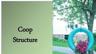 Coop
Structure
 