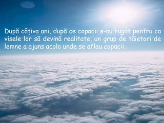 D upă câţiva ani, după ce copacii s-au rugat pentru ca visele lor să devină realitate , un grup  de tăietori de lemne a ajuns acolo unde se aflau copacii . 