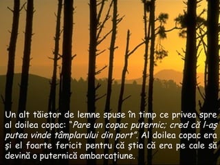 Un alt tăietor de lemne spuse în timp ce privea spre al doilea copac : “ Pare   un  copac puternic; cred că l-aş putea vinde tâmplarului din port ”.   Al doilea copac era şi el foarte fericit pentru că ştia că era pe cale să devină o puternică ambarcaţiune . 