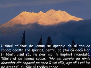 Ultimul tăietor de lemne se apropie de al treilea copac ;  acesta era speriat, pentru că ştia că dacă l-ar fi tăiat, visul său nu s-ar mai fi împlinit niciodată .  Tăietorul de lemne spuse :  “N u am nevoie de nimic deosebit din copacul pe care îl voi tăia, aşa că-l voi lua pe acesta ”.   Şi tăie al treilea copac . 