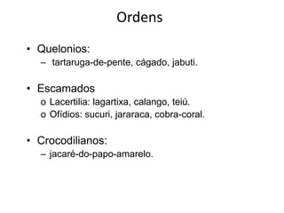 Ordens
• Quelonios:
  – tartaruga-de-pente, cágado, jabuti.

• Escamados
  o Lacertilia: lagartixa, calango, teiú.
  o Ofídios: sucuri, jararaca, cobra-coral.

• Crocodilianos:
  – jacaré-do-papo-amarelo.
 