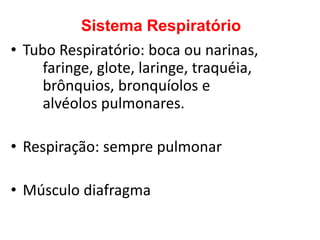 Sistema Respiratório
• Tubo Respiratório: boca ou narinas,
     faringe, glote, laringe, traquéia,
     brônquios, bronquíolos e
     alvéolos pulmonares.

• Respiração: sempre pulmonar

• Músculo diafragma
 