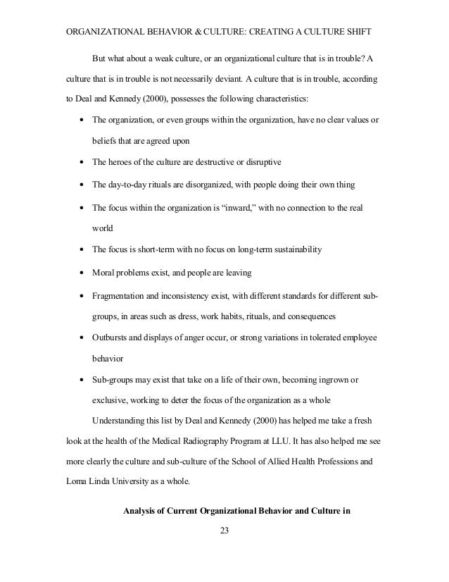 essay on organizational culture