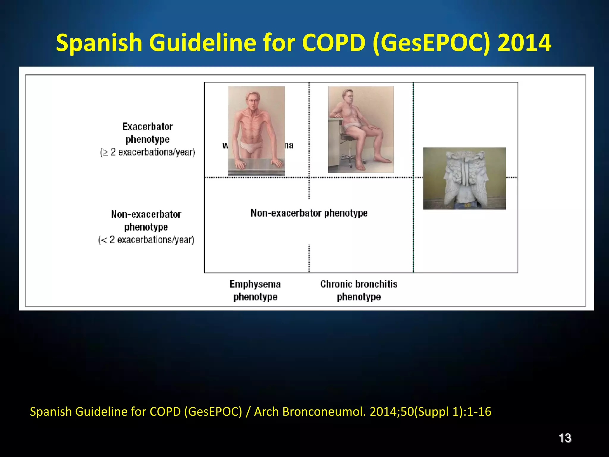 Spanish Guideline for COPD (GesEPOC) 2014
Spanish Guideline for COPD (GesEPOC) / Arch Bronconeumol. 2014;50(Suppl 1):1-16
13
 