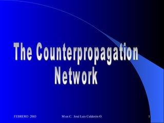 The Counterpropagation Network 