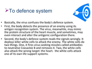 • Basically, the virus confuses the body's defence system.
• First, the body detects the presence of an enemy using its
antigen recognition system. The virus, meanwhile, may mimic
the protein structure of the heart muscle, and sometimes, may
even interact and alter the antigenic configuration there.
• Second, the body's defence system reads the signals wrongly. It
deploys killer white cells to attack the enemy. The white cells do
two things. One, it fires virus-seeking missiles called antibodies
to neutralise Coxsackie B and removes it. Two, the white cells
also attack the wrong target: the heart. the white cells attack
one of its own life support systems.
To defence system
 