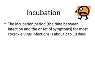 Incubation
• The incubation period (the time between
infection and the onset of symptoms) for most
coxackie virus infections is about 2 to 10 days
 