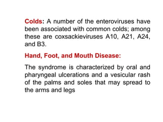 Colds: A number of the enteroviruses have
been associated with common colds; among
these are coxsackieviruses A10, A21, A24,
and B3.
Hand, Foot, and Mouth Disease:
The syndrome is characterized by oral and
pharyngeal ulcerations and a vesicular rash
of the palms and soles that may spread to
the arms and legs
 