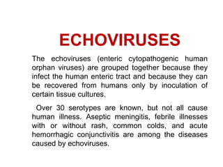 ECHOVIRUSES
The echoviruses (enteric cytopathogenic human
orphan viruses) are grouped together because they
infect the human enteric tract and because they can
be recovered from humans only by inoculation of
certain tissue cultures.
Over 30 serotypes are known, but not all cause
human illness. Aseptic meningitis, febrile illnesses
with or without rash, common colds, and acute
hemorrhagic conjunctivitis are among the diseases
caused by echoviruses.
 