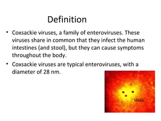 Definition
• Coxsackie viruses, a family of enteroviruses. These
viruses share in common that they infect the human
intestines (and stool), but they can cause symptoms
throughout the body.
• Coxsackie viruses are typical enteroviruses, with a
diameter of 28 nm.
 