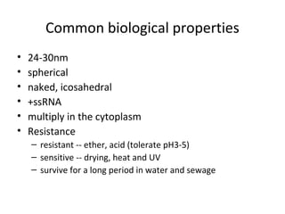 Common biological properties
• 24-30nm
• spherical
• naked, icosahedral
• +ssRNA
• multiply in the cytoplasm
• Resistance
– resistant -- ether, acid (tolerate pH3-5)
– sensitive -- drying, heat and UV
– survive for a long period in water and sewage
 