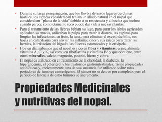Propiedades Medicinales
y nutritivas del nopal.
• Durante su larga peregrinación, que los llevó a diversos lugares de climas
hostiles, los aztecas consideraban tenían un aliado natural en el nopal que
consideraban “planta de la vida” debido a su resistencia y al hecho que incluso
cuando parece completamente seco puede dar vida a nuevas plantas.
• Para el tratamiento de las fiebres bebían su jugo, para curar los labios agrietados
aplicaban su mucus, utilizaban la pulpa para tratar la diarrea, las espinas para
limpiar las infecciones, su fruto, la tuna, para eliminar el exceso de bilis, sus
hojas en cataplasma para aliviar las inflamaciones y sus raíces para tratar las
hernias, la irritación del hígado, las úlceras estomacales y la erisipela.
• Hoy en día, sabemos que el nopal es rico en fibra y vitaminas, especialmente
vitamina A, C y K, así como en riboflavina y vitamina B6 y que contiene, entre
otros minerales, calcio, magnesio, potasio, hierro y cobre.
• El nopal es utilizado en el tratamiento de la obesidad, la diabetes, la
hiperglicemia, el colesterol y los trastornos gastrointestinales. Tiene propiedades
antibióticas y, recientemente, una de sus sustancia fue utilizado sobre ratas
portadoras de tumores cancerígenos. El cáncer no se detuvo por completo, pero el
periodo de latencia de estos tumores se incrementó.
 