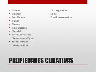 PROPIEDADES CURATIVAS
• Diabetes
• Digestión
• Estreñimiento
• Hígado
• Páncreas
• Híper glucemia
• Obesidad
• Sistema circulatorio
• Sistema inmunológico
• Sistema nervioso
• Sistema urinario
• Ulceras gástricas
• La piel
• Beneficios cosméticos
 