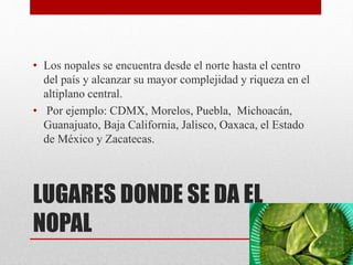 LUGARES DONDE SE DA EL
NOPAL
• Los nopales se encuentra desde el norte hasta el centro
del país y alcanzar su mayor complejidad y riqueza en el
altiplano central.
• Por ejemplo: CDMX, Morelos, Puebla, Michoacán,
Guanajuato, Baja California, Jalisco, Oaxaca, el Estado
de México y Zacatecas.
 