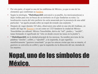 Nopal, uno de los símbolos de
México.
• Por otra parte, el nopal es uno de los emblemas de México, ya que es uno de los
elementos que conforman su bandera.
• Según la mitología, *Huitzilopochtli convenció a su pueblo, los mexicas(aztecas) a
dejar Aztlán para irse en busca de un territorio en él que fundarían su reino. La
localización exacta del sitio perfecto les sería anunciada por la presencia de una señal
particular: “un águila posada sobre un nopal devorando una serpiente. ”
• Después de vagar durante 165 años, observaron esta señal en una isla del Anáhuac, en
medio del lago de Texcoco y es así como en 1325 fundaron la ciudad de México
Tenochtitlan (en náhuatl: México Tenochtitlán, deriva de “tetl”, piedra y “nochtli”,
tunas formando el significado de “sitio en donde crecen las tunas en la piedra”).
• * Huitzilopochtli era la deidad principal de los mexicas. Su nombre proviene de las
palabras “uitzilin”, colibrí, y “opochtli”, a la izquierda, lo que significa
metafóricamente “guerrero resucitado” ya que los aztecas creían que tras su muerte, el
guerrero se convertía en colibrí y que la izquierda era la dirección del sur, morada de
los muertos.
 