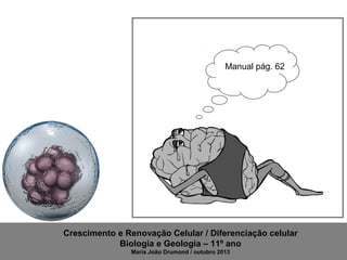 Manual pág. 62

Crescimento e Renovação Celular / Diferenciação celular
Biologia e Geologia – 11º ano
Maria João Drumond / outubro 2013

 