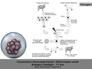 Clonagem

Crescimento e Renovação Celular / Diferenciação celular
Biologia e Geologia – 11º ano
Maria João Drumond / outubro 2013

 