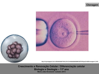 Clonagem

http://4.bp.blogspot.com/-ctSofw6nAkE/TdHLU3YcCnI/AAAAAAAAABk/2AdTXrKpwqY/s400/clonagem+2.JPG

Crescimento e Renovação Celular / Diferenciação celular
Biologia e Geologia – 11º ano
Maria João Drumond / outubro 2013

 