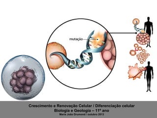 Crescimento e Renovação Celular / Diferenciação celular
Biologia e Geologia – 11º ano
Maria João Drumond / outubro 2013

 