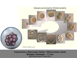 Crescimento e Renovação Celular / Diferenciação celular
Biologia e Geologia – 11º ano
Maria João Drumond / outubro 2013

 