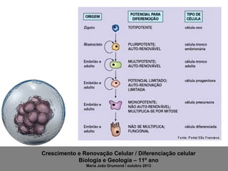 Crescimento e Renovação Celular / Diferenciação celular
Biologia e Geologia – 11º ano
Maria João Drumond / outubro 2013

 