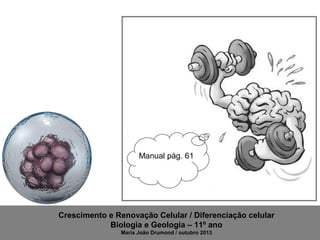 Manual pág. 61

Crescimento e Renovação Celular / Diferenciação celular
Biologia e Geologia – 11º ano
Maria João Drumond / outubro 2013

 