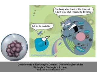 Crescimento e Renovação Celular / Diferenciação celular
Biologia e Geologia – 11º ano
Maria João Drumond / outubro 2013

 