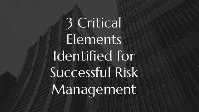 3 Critical
Elements
Identified for
Successful Risk
Management
 