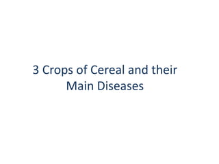 3 Crops of Cereal and their
Main Diseases
 