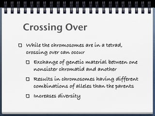 Crossing Over
While the chromosomes are in a tetrad,
crossing over can occur
  Exchange of genetic material between one
  nonsister chromatid and another
  Results in chromosomes having different
  combinations of alleles than the parents
  Increases diversity
 