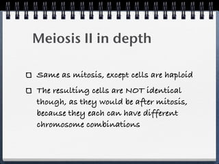 Meiosis II in depth

Same as mitosis, except cells are haploid
The resulting cells are NOT identical
though, as they would be after mitosis,
because they each can have different
chromosome combinations
 