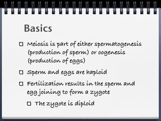 Basics
Meiosis is part of either spermatogenesis
(production of sperm) or oogenesis
(production of eggs)
Sperm and eggs are haploid
Fertilization results in the sperm and
egg joining to form a zygote
  The zygote is diploid
 