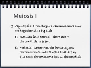 Meiosis I
Synapsis: Homologous chromosomes line
up together side by side
  Results in a tetrad - there are 4
  chromatids present
  Meiosis I separates the homologous
  chromosomes into 2 cells that are n,
  but each chromosome has 2 chromatids
 