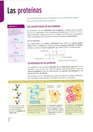 3° CTA-TEXTO.pdf