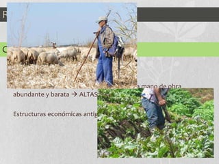 Regiones de Enlace
Crecimiento económico de un 8-9%
Crean zonas económicas especiales con una mano de obra
abundante y barata  ALTAS tasas de PRODUCTIVIDAD
AGRICULTURA
Estructuras económicas antiguas
GANADERÍA
CHINA
 