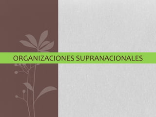 ORGANIZACIONES SUPRANACIONALES
 