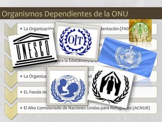 • La Organización para la Agricultura y Alimentación (FAO)
• La Organización Internacional del Trabajo (OIT)
• La Organización para la Educación, la Ciencia y la Cultura (UNESCO)
• La Organización Mundial de la Salud (OMS)
• EL Fondo de Naciones Unidas para la Infancia (UNICEF)
• El Alto Comisionado de Naciones Unidas para Refugiados (ACNUR)
Organismos Dependientes de la ONU
 